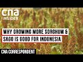 Bagaimana Indonesia Mendiversifikasi Produksi Tanamannya Untuk Ketahanan Pangan | Koresponden CNA