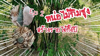 ญิ๋งเอมเข้าสวน[Ep2]พาชมหน่อไม้กินซุน by สวนตาย้อ วิถีพอเพียง