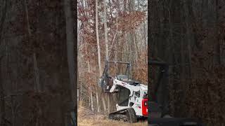 Forestry mulcher cleaning pasture and fence lines #farming #shorts #chainsawman