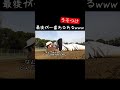 監督、人間じゃない説www【あめんぼぷらす】【解放切り抜き】 shorts