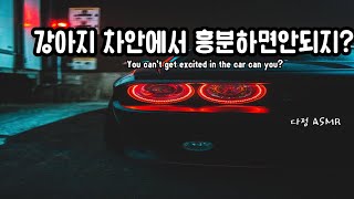 [남자ASMR/ Eng Sub] 강아지, 차 안에서 흥분하면 안되지? 차 안에서 혼나는 강아지 (​Korean Boyfriend ASMR │남친롤플 │중저음 ASMR│롤플레잉)