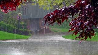 Rain noise relaxing sound of natureWhite Noise 1 hour relaxing noise, fan sound for sleep meditation