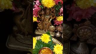 சிறு பிள்ளை நீயடா #murugan #murugansongs #murugantemple #thiruchendurmurugan #vetrilaideepam