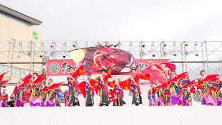 [4K] 紀州龍神　弁慶まつり 紀州弁慶よさこい踊り 2024