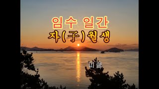 십간론 109 🦸‍♀️ 임수 일간 자(子)월생 - 피클의 행복한 명리