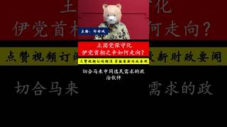 冯振豪分析伊党如何因应土团党保守化，考虑自提首相人选，影响国盟未来走向。