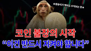 비트코인 불장에서 할 수 있는 좋은 투자전략