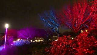 Kleurrijk verlichte bomen in het Westerpark Amsterdam