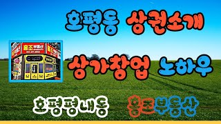[호평동상가 평내동상가]  창업컨설팅 호평동상가 및 평내동상가의 임대와 상권소개