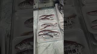 Ishimochi (Japanese Silver white croaker)