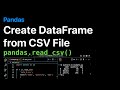 Create Pandas DataFrame from CSV File - Examples | ProgramGuru.org