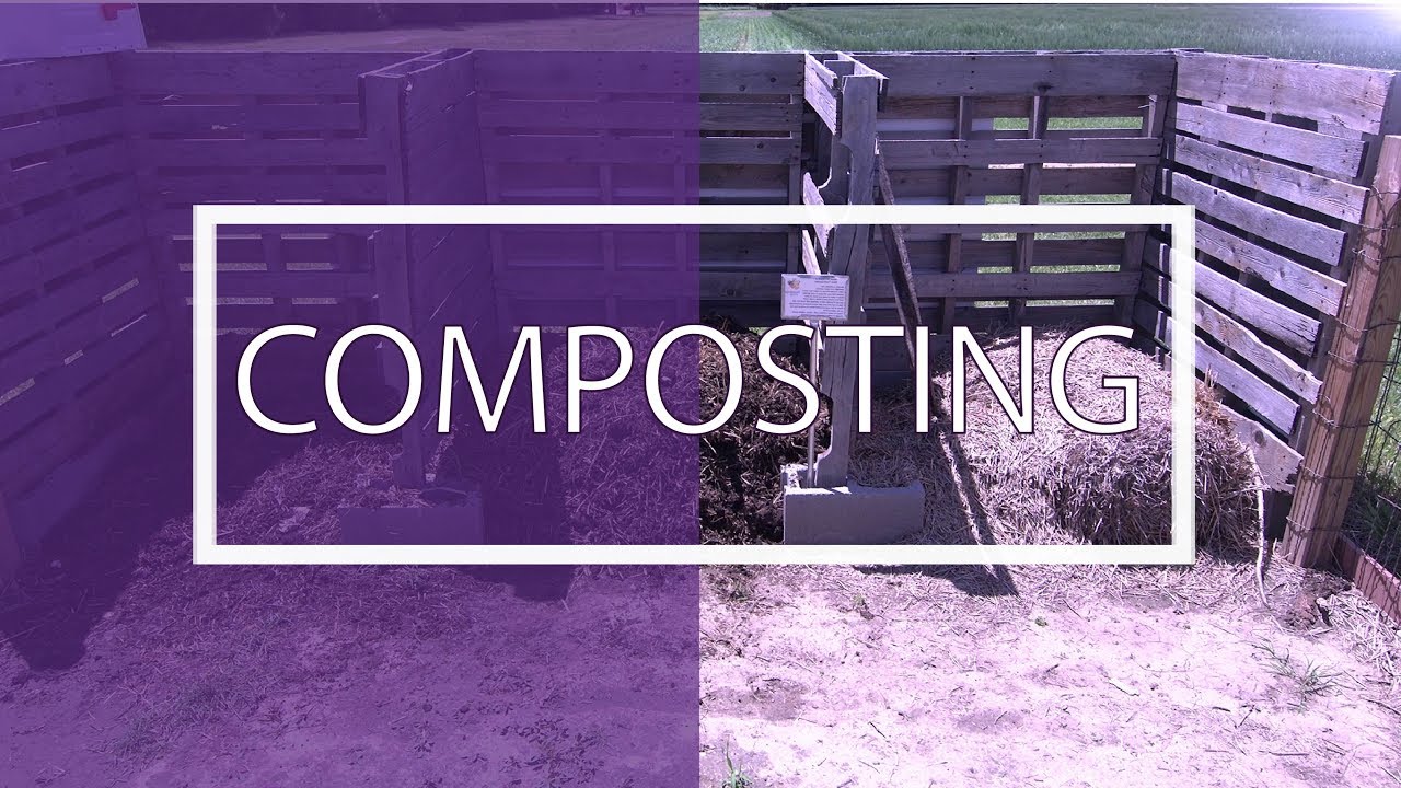 Composting Youtube Composting Youtube