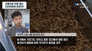 곤충으로 만든 음식, 다이어트에 효과적? / YTN 사이언스