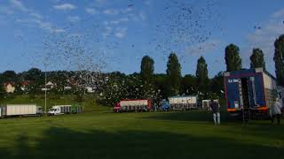 Brieftaubenauflass in Forchheim  3.6.18