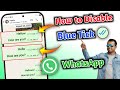 How to Disable Blue Tick on WhatsApp | Turn Off Read Receipts 2025 | Hide Seen Message on WhatsApp