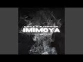 iMiMoya