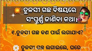 ତୁଳସୀ ଗଛ ବିଷୟରେ ସଂପୂର୍ଣ୍ଣ ଜାଣିବା କଥା| 🙏/ odia quotes Best lines| 💥lessonable quotes @MG Story Queen