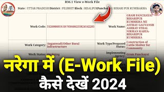 Nrega E Work File Se Work Details Kaise Check Kare | E Work File Ka Use Kaise Kare - New Update 2024