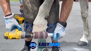 EasyShoe Roller Application