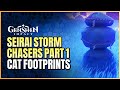 Seirai Storm Chasers Part 1 Guide | Following Cat Footprints And Sealing First Warding Stone