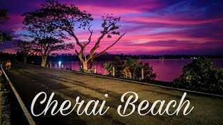 Cherai Beach 🏖 | God own County🌴 | The Best Beach in Kochi ✌️#FOOD LOVERS #short #shortvideo