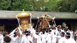 2018.9.15 やわたんまち 山荻神社 神輿 渡御 11