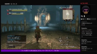 意味わからないままレベルが…[DDON]　パート185（気まぐれ自己満足ボヤキ動画）