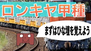 尺束向け！キヤE195系 LT-4編成 甲種輸送