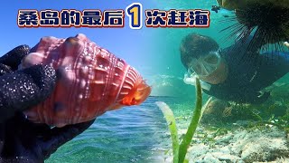 《环球探海记》坦桑尼亚~第34天：今天是我在桑给巴尔岛的最后1次赶海，没想到海获多多！