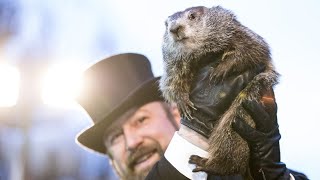 How accurate is Punxsutawney Phil? | VERIFY