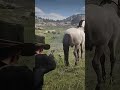 Can You Shoot Horse's Balls in Red Dead Redemption 2?