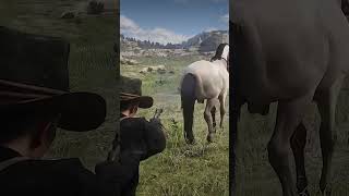 Can You Shoot Horse's Balls in Red Dead Redemption 2?