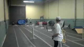 Revolution Flyball's BSL Team (Breed Specific Lineup) -- Practice run at Y2K9s