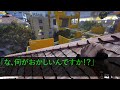 【スカッとする話】義母「今月の仕送り30万はまだ！？」怒り狂った義母から電話が...私「息子さんは他界したので、もう仕送りできません」義母「は？」→実は...【修羅場】