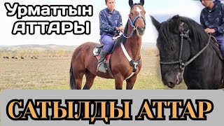 САТЫЛДЫ АТТАР