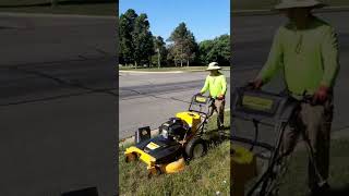 CC800 33 inch walk behind mower