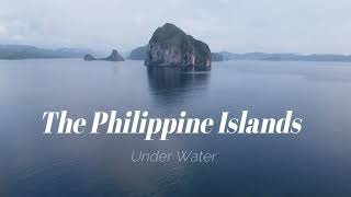 The Philippines Islands scuba diving