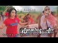 Nyambuq Aer mulen manis dangdut sasak Aldeva musik voc evi mariani