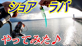 【佐渡の防波堤釣り】ショアラバという新兵器を手に入れたった！タイラバ初ヒット＆初釣果の魚種はナンダ？〈2022年5月上旬〉