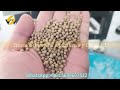 200-250kg/h capacity Floating Fish Feed Making Machine with factory quality