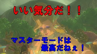 ゼルダの伝説～BotW～(マスターモード)＃6　タロ・ニヒの祠行ってなくね？