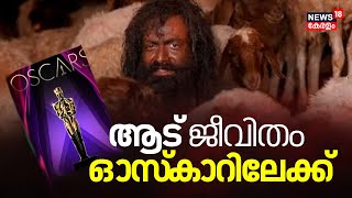 Prithviraj- Blessy ചിത്രം ആട് ജീവിതം ഓസ്കാറിലേക്ക് |Malayalam film Aadujeevitham enters Oscars race