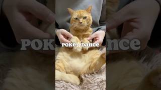 【猫ダンス/何度目かのポケダンス】ポケモンカードゲームアプリ流行ってるよね~   #猫 #cat #shorts