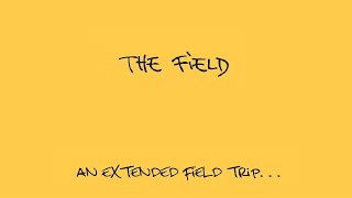 Mix 24: The Field - 2006-2018 \