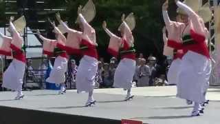 阿波踊り娯茶平[四国の祭り２０１５]