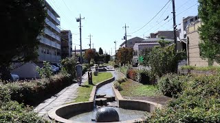 【散歩動画】瓜生せせらぎ散歩道【多摩ニュータウン】Tokyo Walking