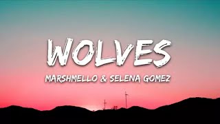 Selena Gomez_ Marshmello - Wolves (Lyrics)