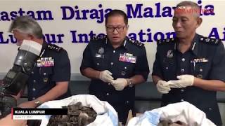 300kg of pangolin scales seized