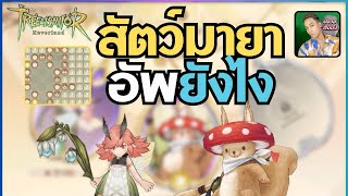 [Tree of Savior:Neverland] สัตว์มายาอัพยังไง อัพเป็นพลังขึ้นหลายหมื่น สัตว์เอลฟ์วิธีหา