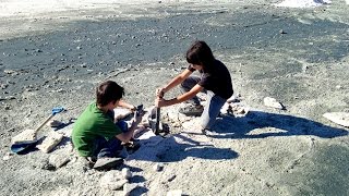 Gem Mining Field Trips in Trona, CA